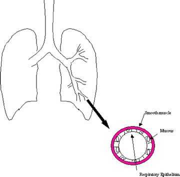 Fig. 2.1