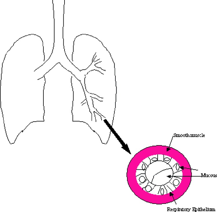 Fig. 2.2