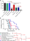 Figure 5. TRX-E-009–1 synergizes with SAHA and irradiation in orthotopic models of DIPG. A, Triple combination treatment of TRX-E-009–1 (0.005 μmol/L), SAHA (0.01 μmol/L), and irradiation (2Gy) significantly reduced the clonogenic activity of HSJD-DIPG007 cells. Data are presented as mean values ±SEM. n = 4 independent experiments performed in duplicate. Synergy scores were calculated by Calcusyn software (*, P < 0.05; ****, P < 0.0001). B, Mice were intracranially injected with DIPG cells and 4 weeks post-injection, treatments commenced. Mice were humanely euthanized when they displayed severe neurological decline and/or weight loss or reached maximum holding time (MHT). Survival curve of HSJD-DIPG007 with TRX-E-009–1/SAHA/Irradiation treatment. Median survival of cohorts is indicated in brackets. Statistical analysis has been performed using the log-rank (Mantel–Cox) test.