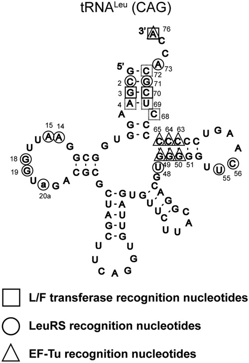 FIGURE 7.