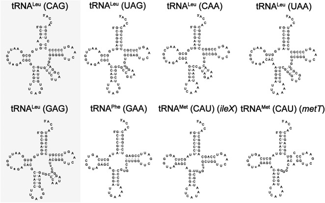 FIGURE 1.