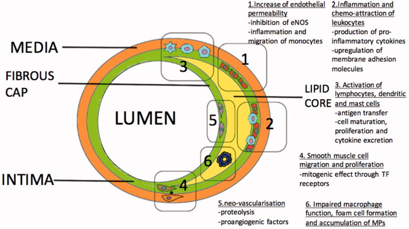 Figure 5.