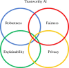 The overlaps between algorithm robustness, fairness, explainability and privacy.