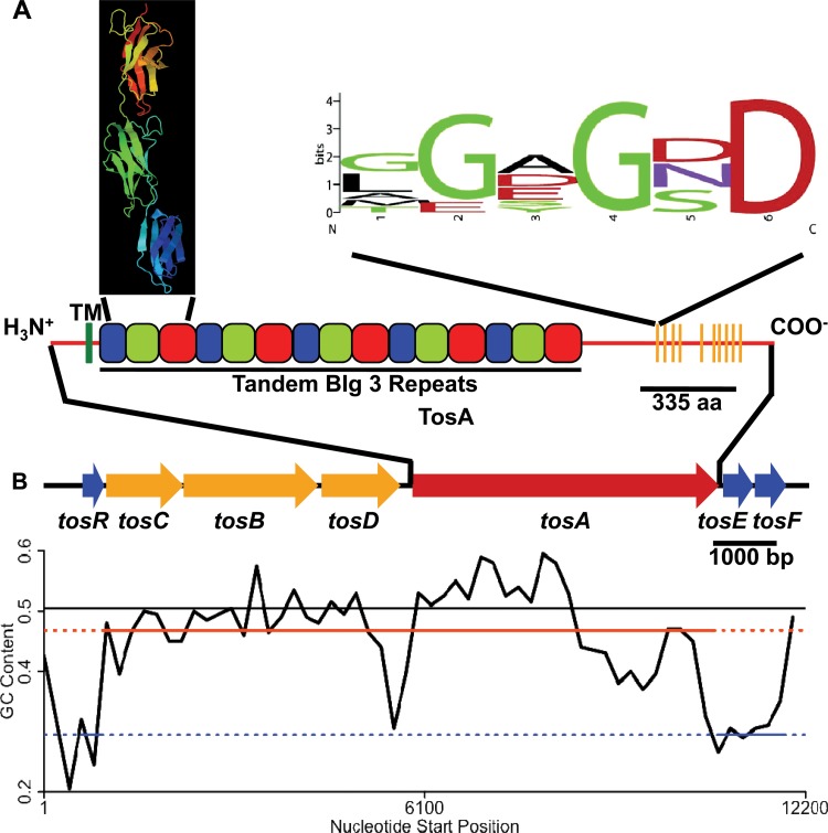 FIG 1