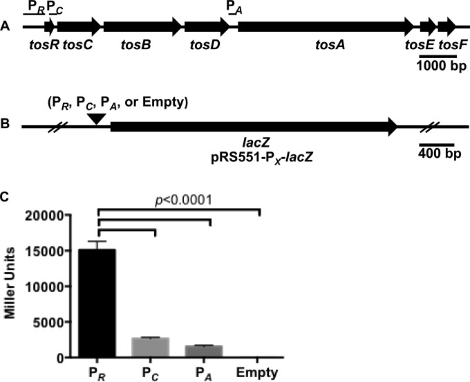 FIG 4