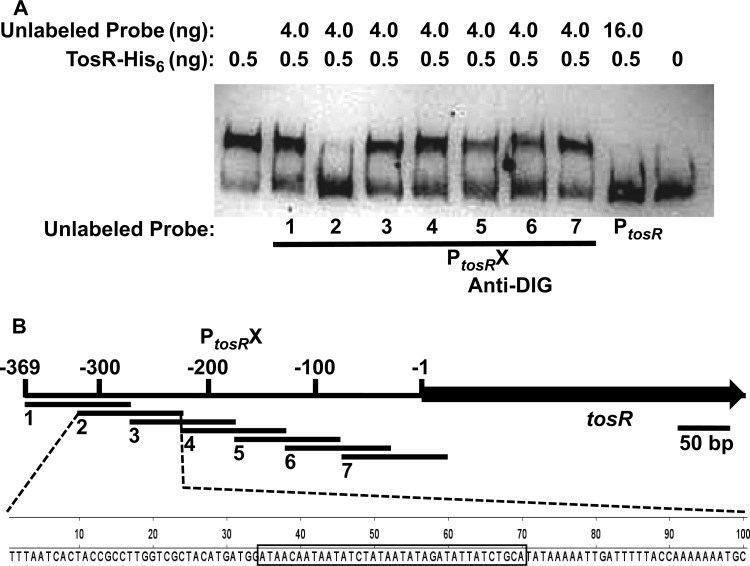 FIG 6