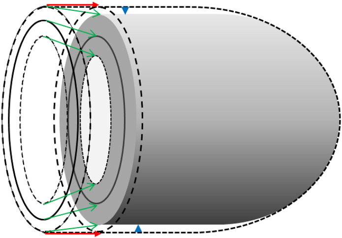 Fig. 1