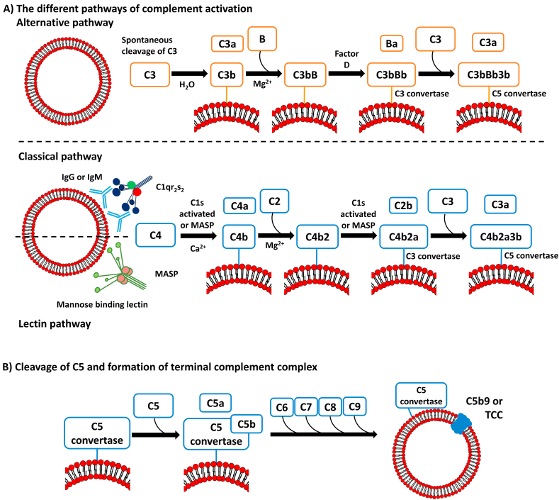 Figure 3