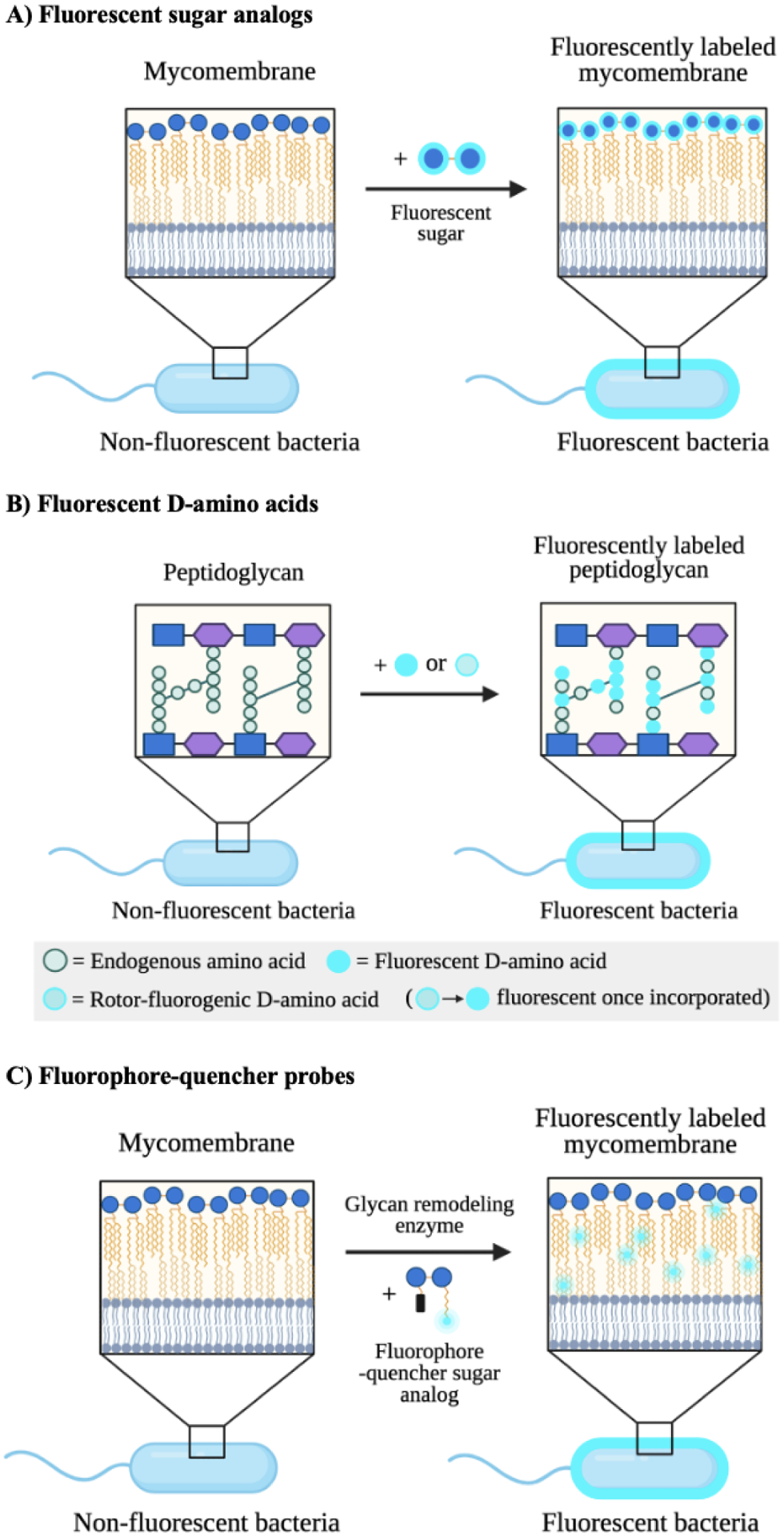 Figure 10.