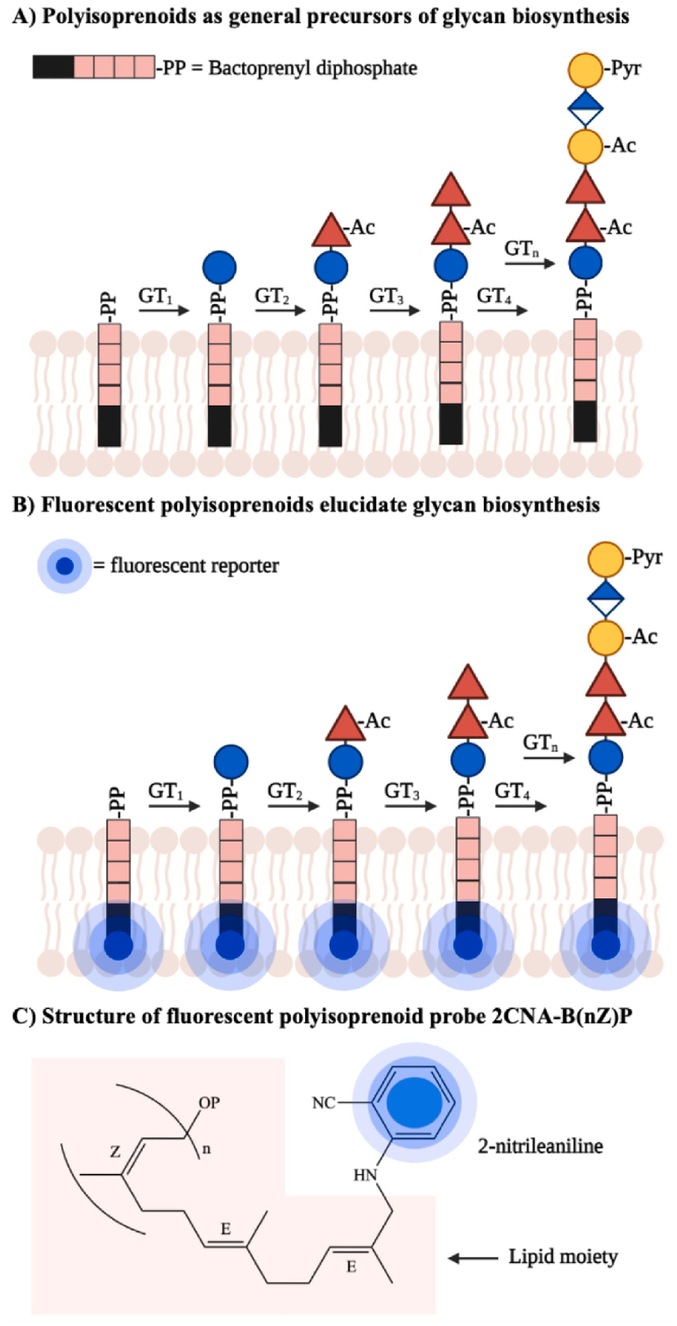 Figure 11.