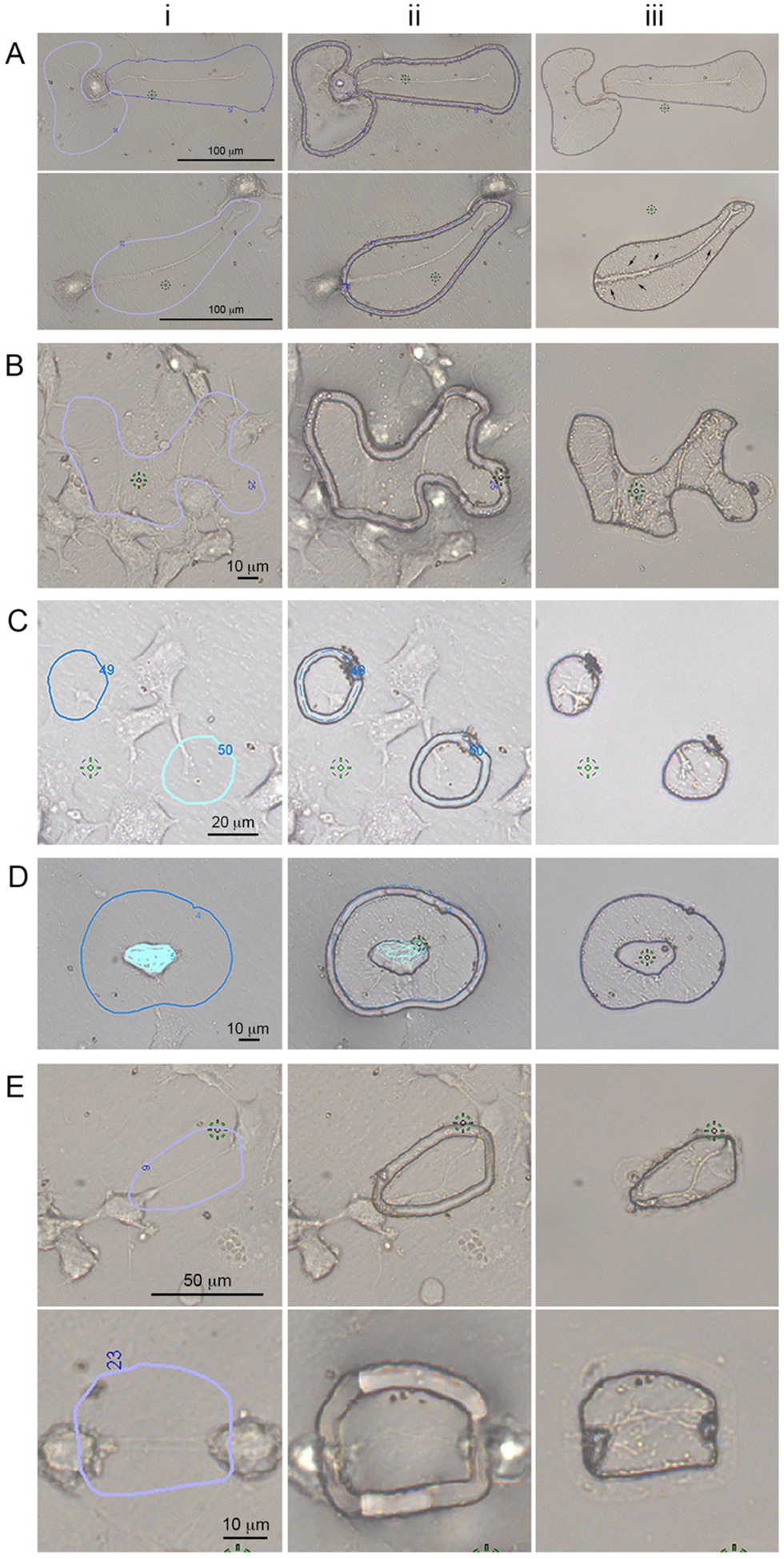 Fig. 3.