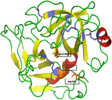 Fig. 3