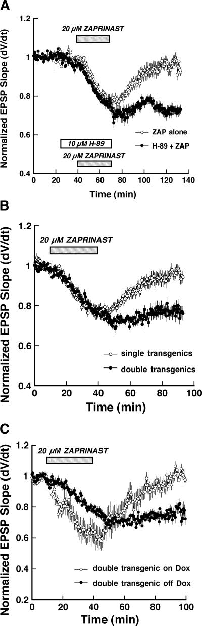 Figure 7.