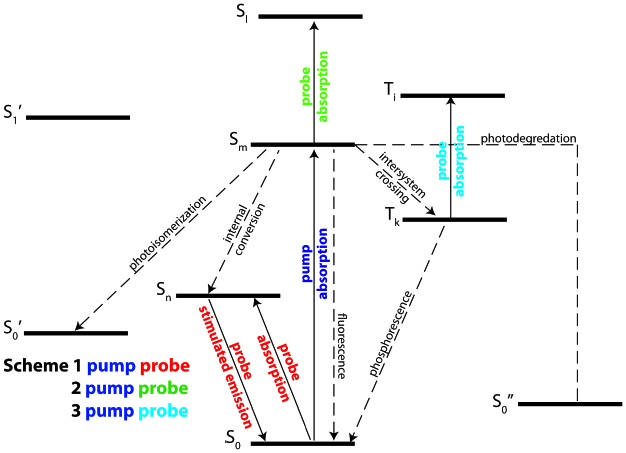 Fig. 1