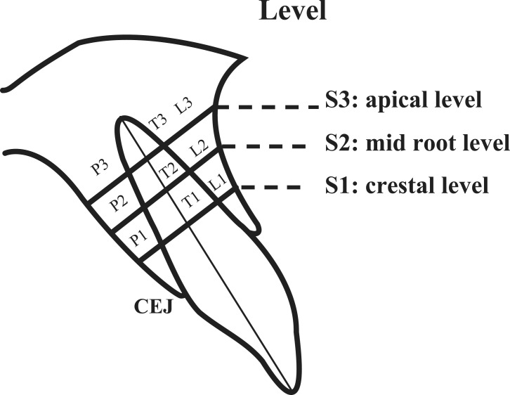 Figure 1.