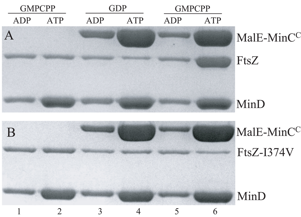 Fig. 4