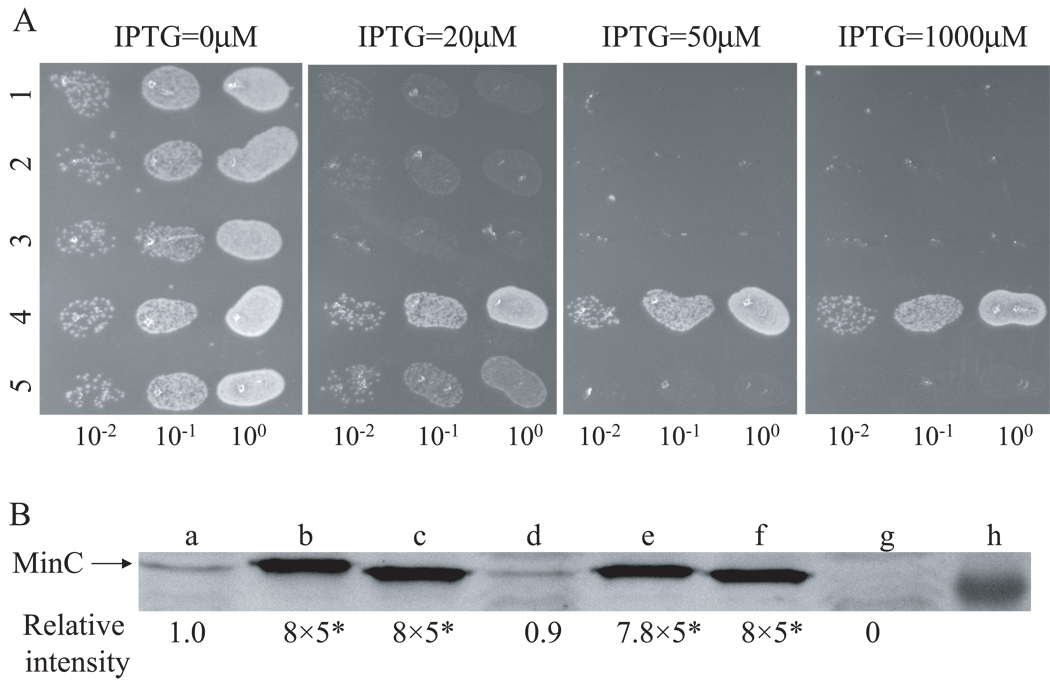 Fig. 6