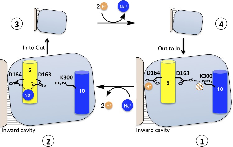 Figure 10.