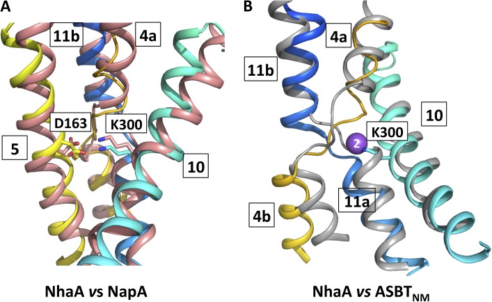 Figure 9.