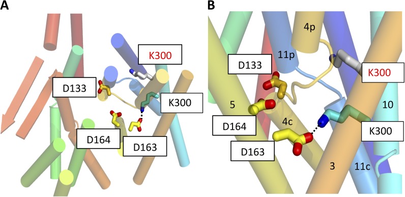 Figure 3.