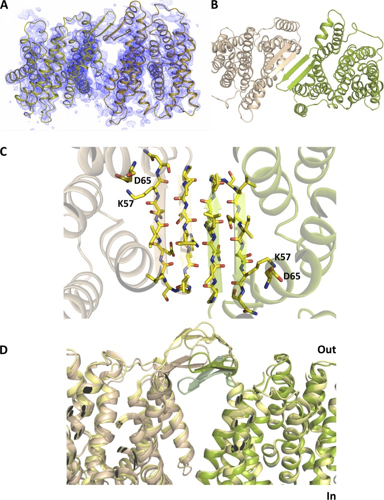 Figure 5.