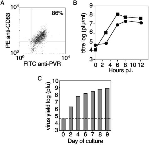 FIG. 1.