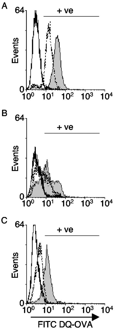 FIG. 6.