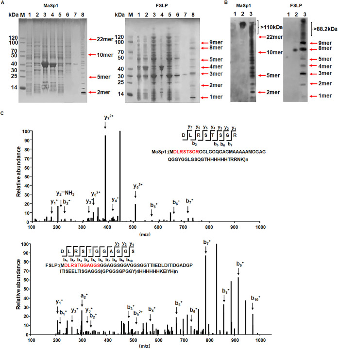 FIG 3