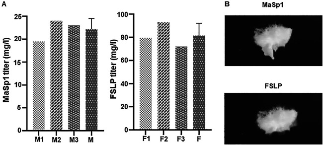 FIG 4