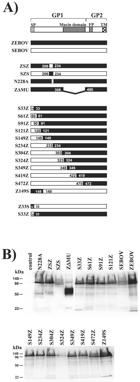 FIG. 5.