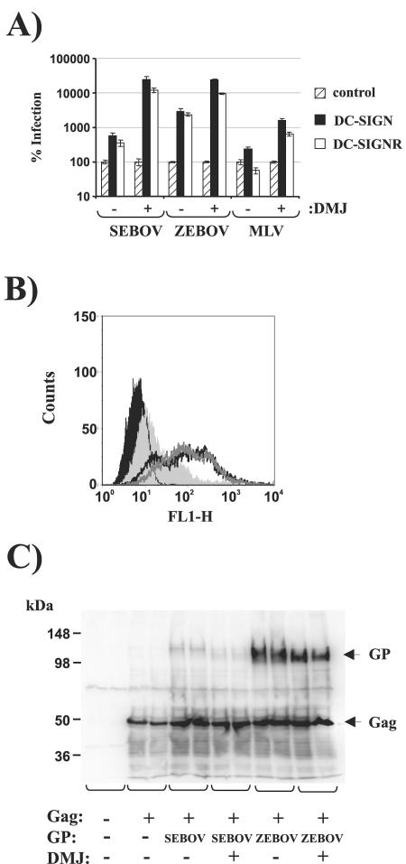 FIG. 3.