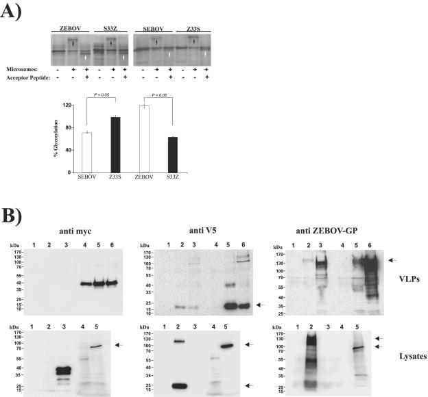 FIG. 8.