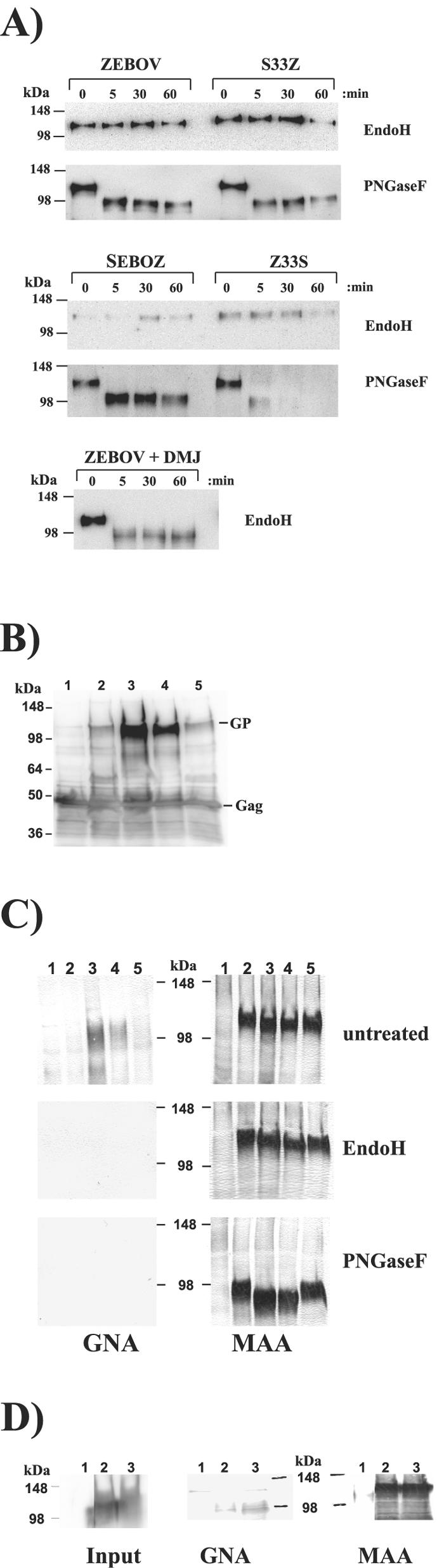 FIG. 7.