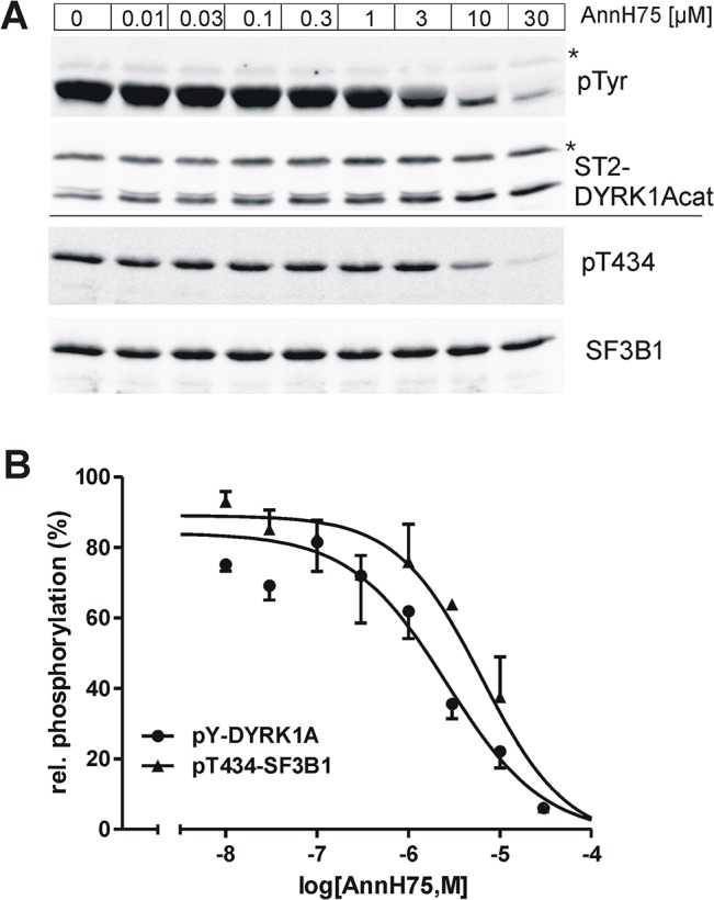 Fig 6