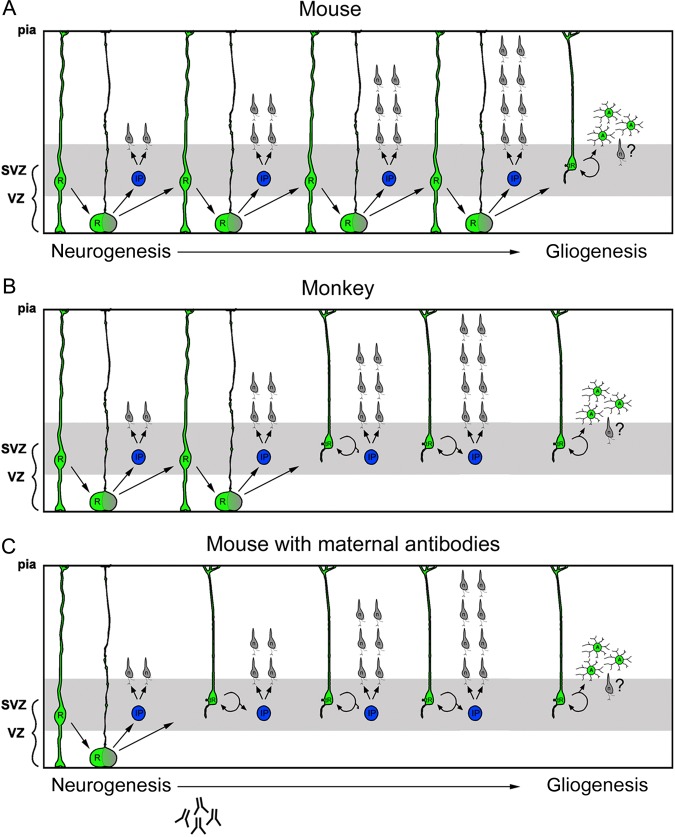 Figure 7.