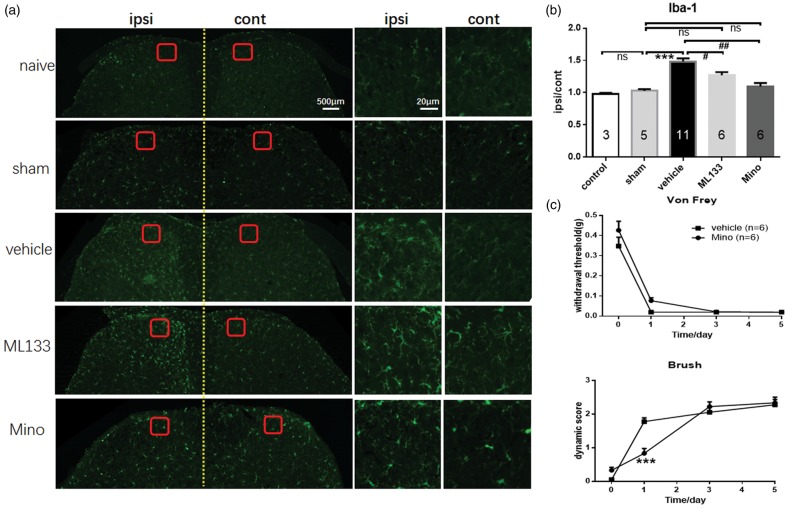 Figure 6.