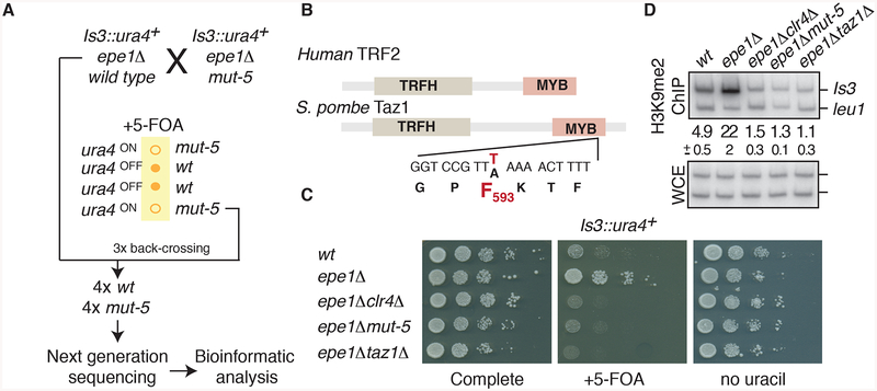 Figure 2.