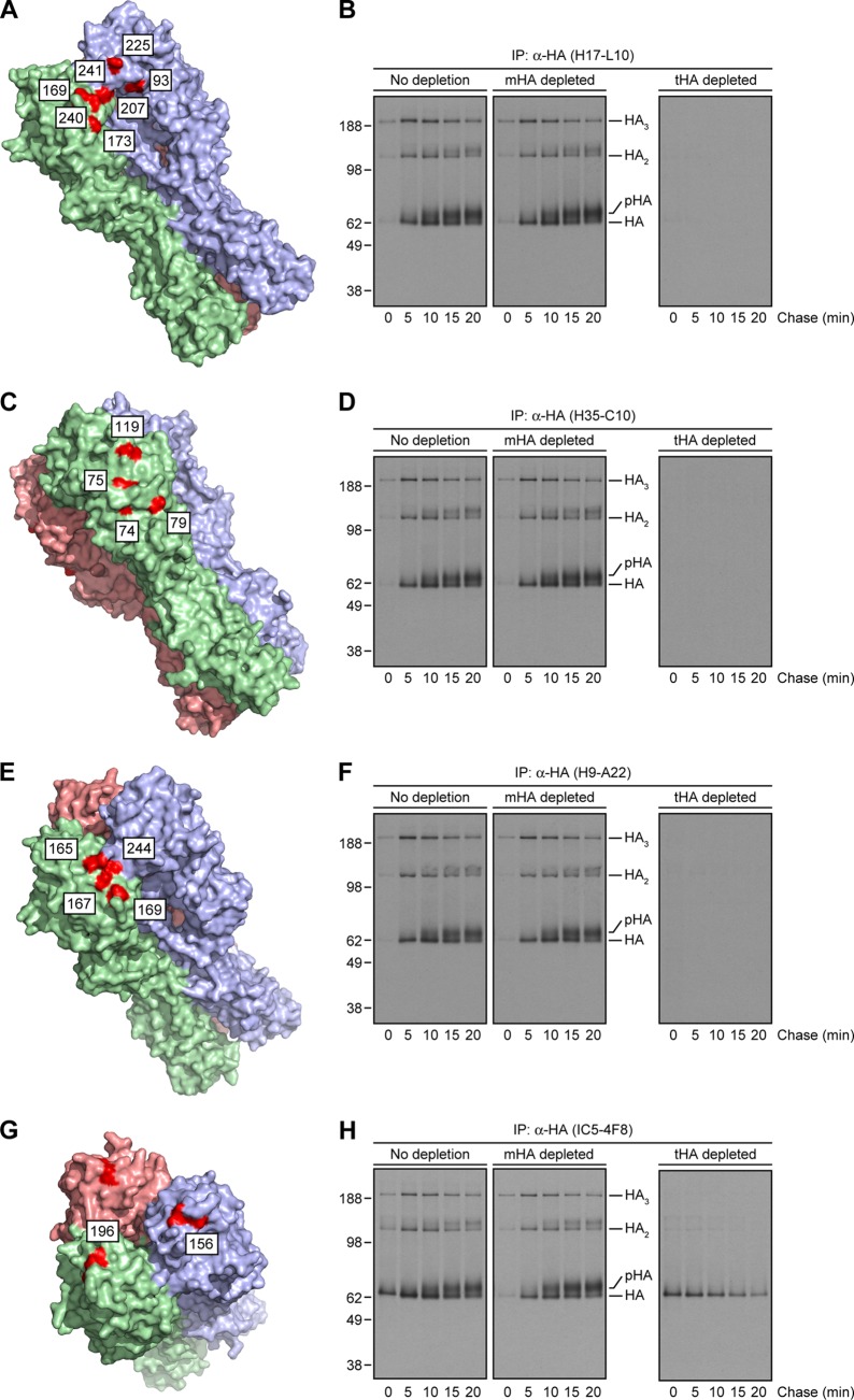 Fig 4