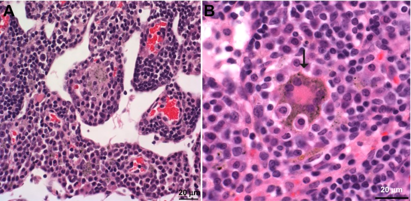 Fig. 7.