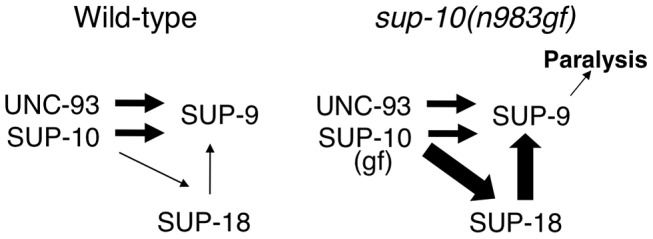 Figure 8