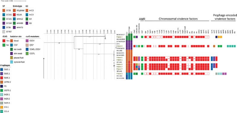 FIGURE 1.