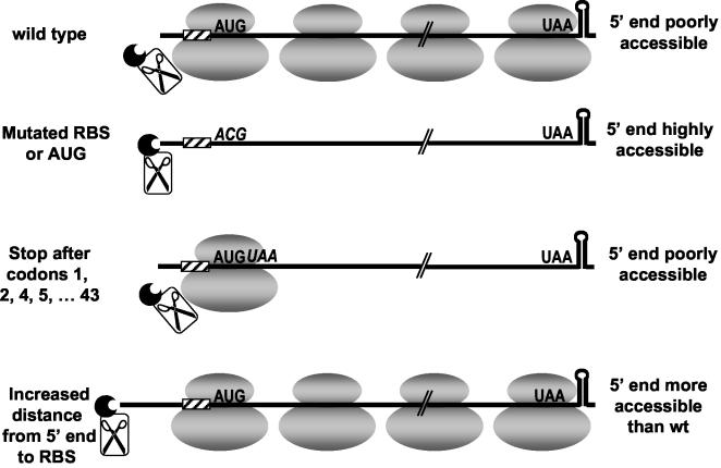 FIG. 7.