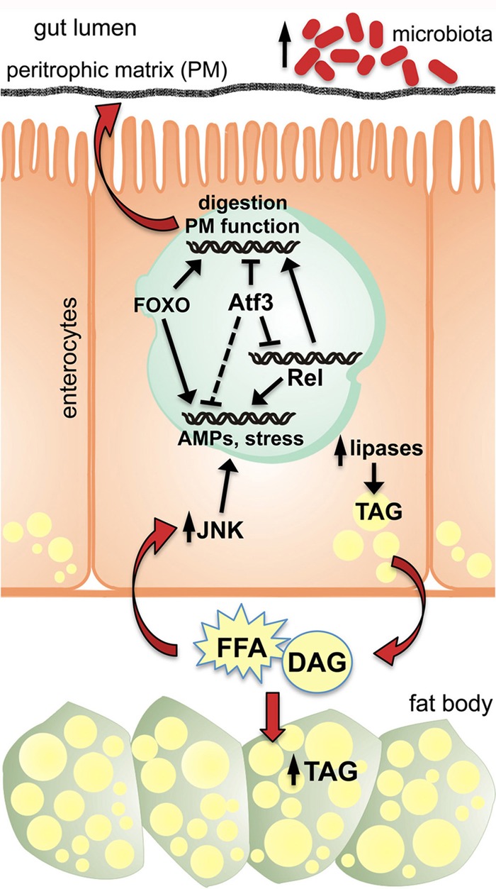 Fig 9