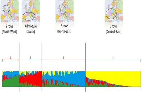 Fig. 4