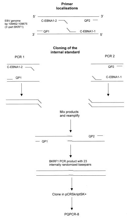 FIG. 1