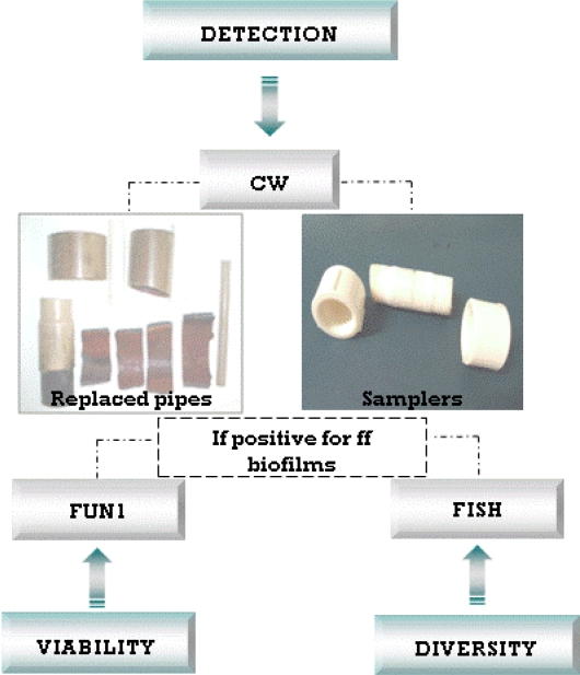 Figure 7.