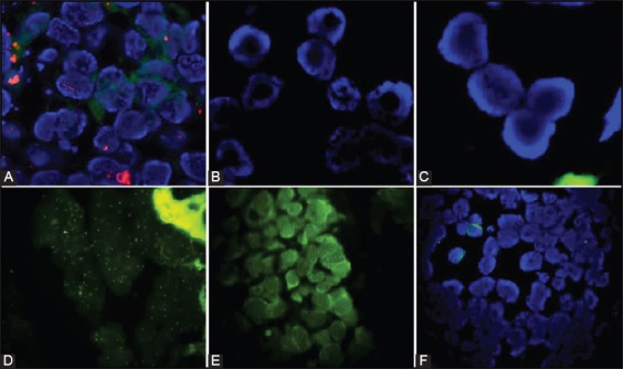 FIGURE 3