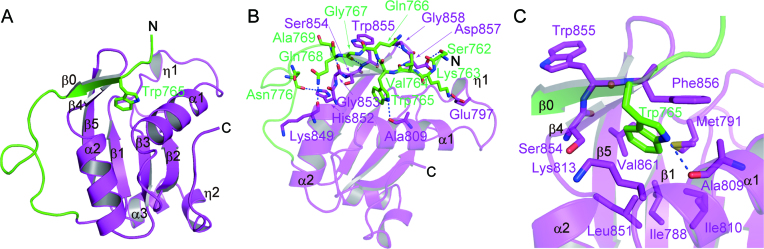 Figure 2.