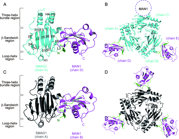 Figure 1.