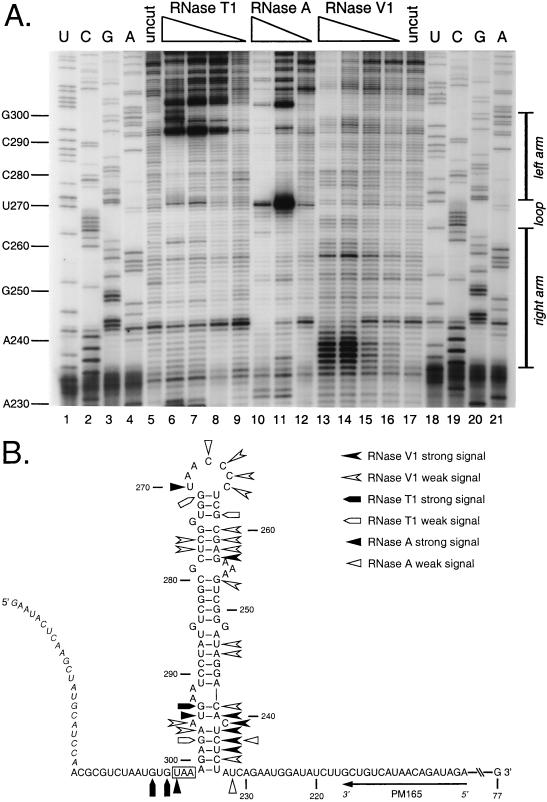 FIG. 5